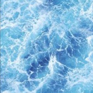 Meet your Posher, Savannah